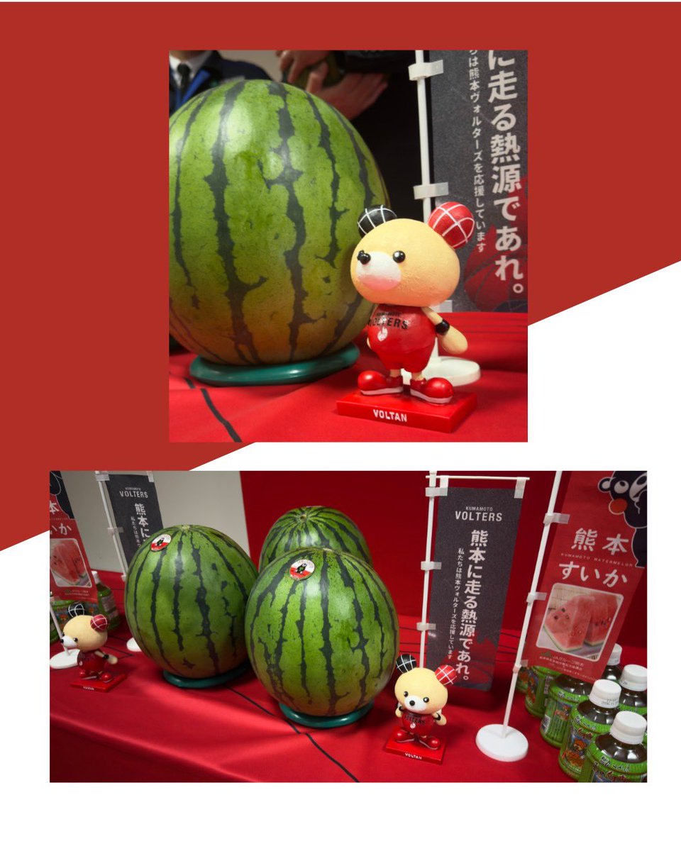 JA熊本経済連 tweet media
