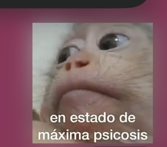 EPonlyyyy's tweet photo. @siunettt Nomás andaba pensando cositas :( https://t.co/K5Pr2CBxzX