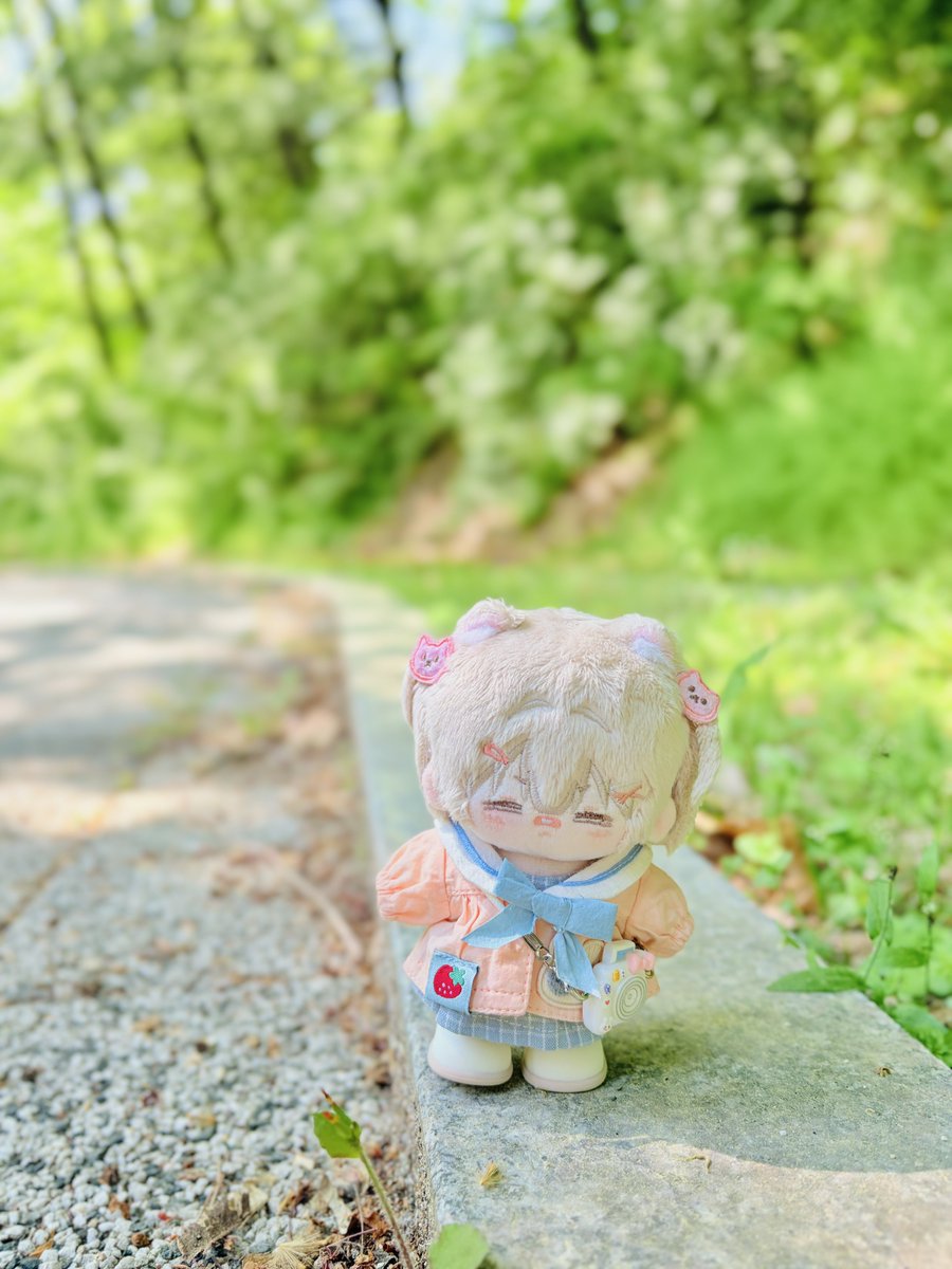 두투리묵 tweet media