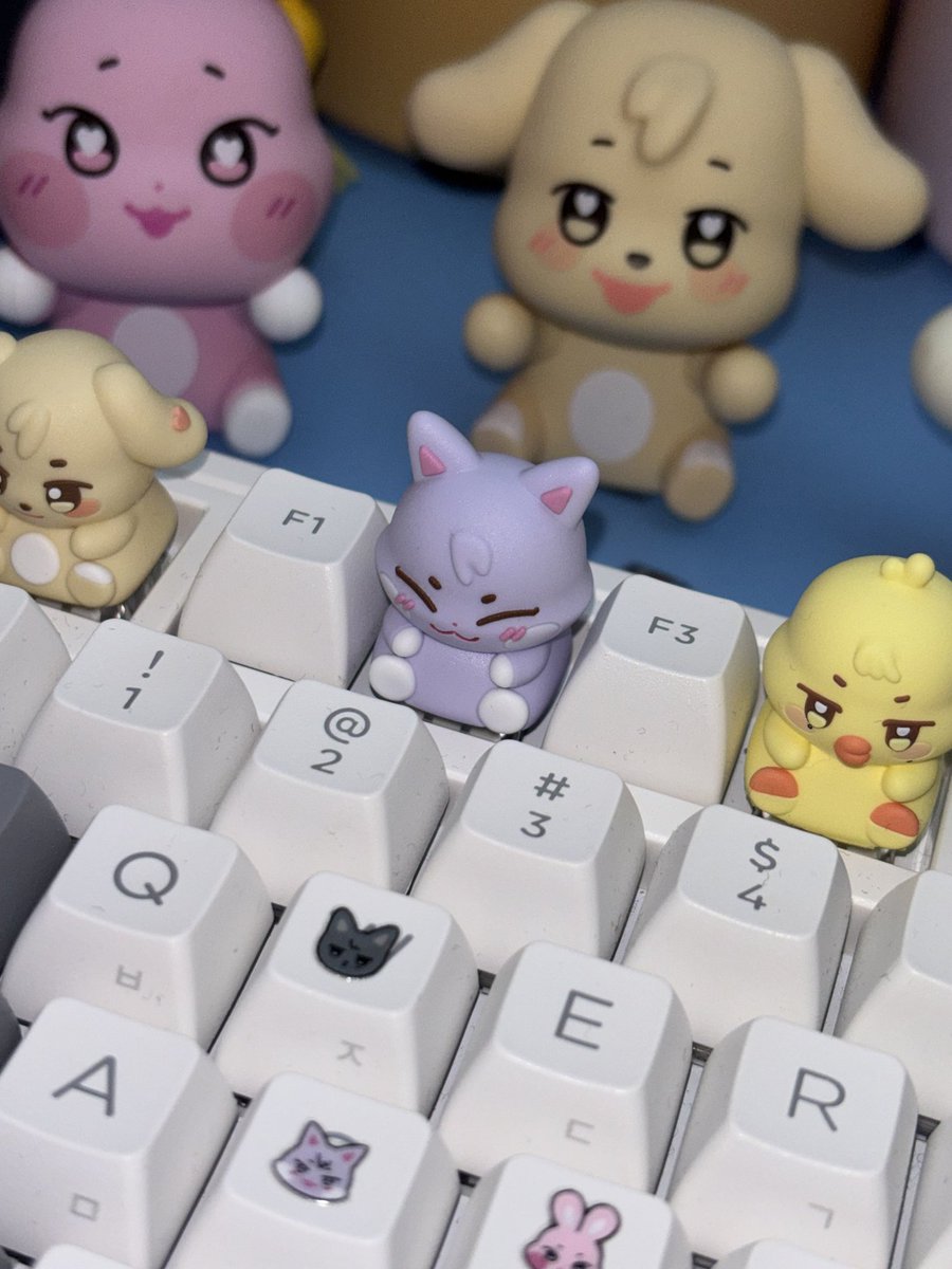 relll 🐱 tweet media