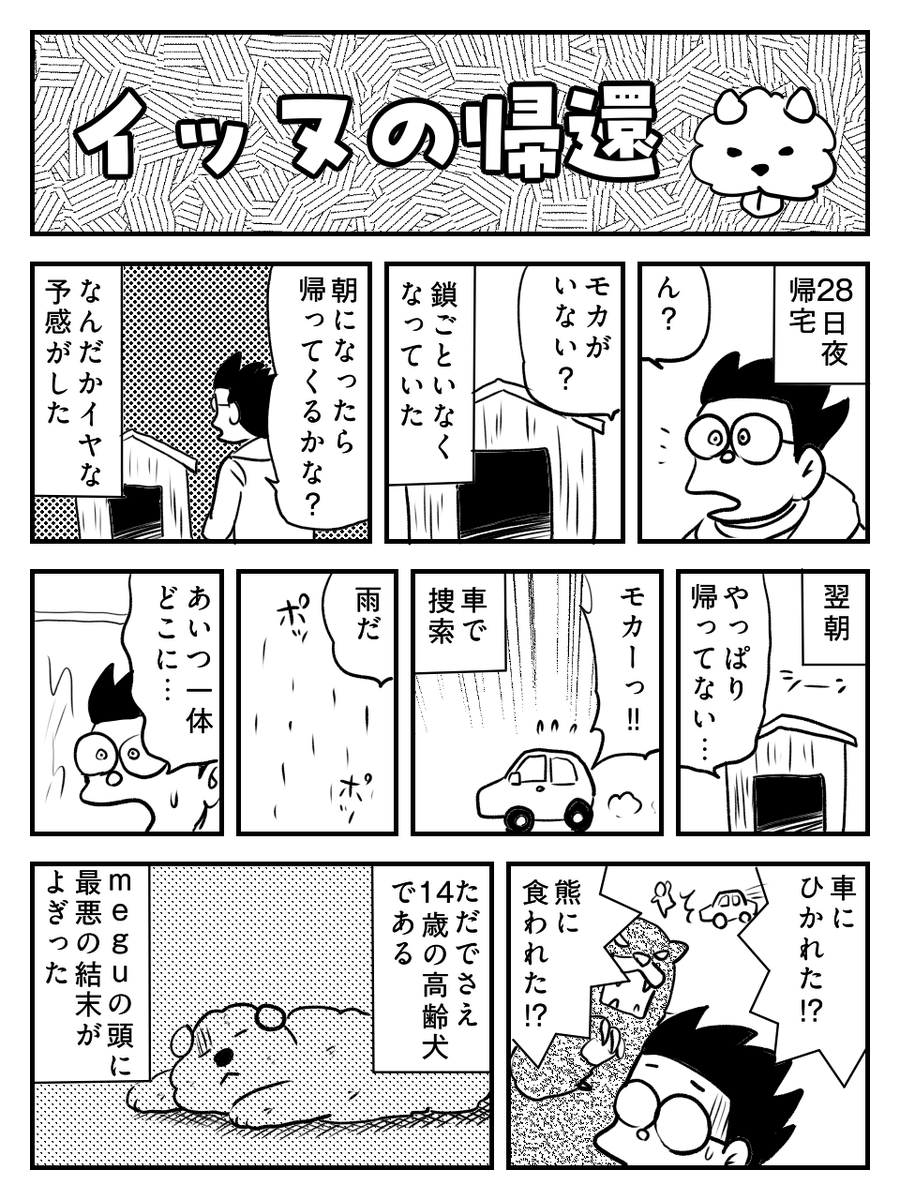 HWhovhwFzy22175's tweet photo. 最近拙宅のワンコが行方不明になった時の顛末をまとめてみました。ペットを逃がすとめちゃくちゃ大変だという話です🥹1/3 https://t.co/YnnmSFTLFw