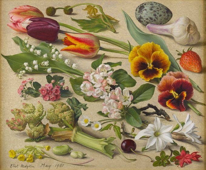 helen warlow tweet media