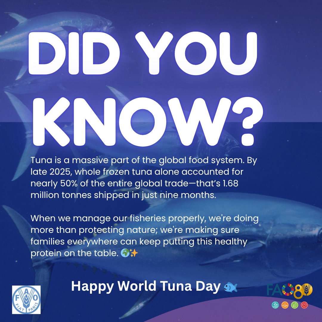 FAOinPNG's tweet image. The numbers might surprise you! Tuna is a major part of global trade and an important source of protein for families around the world 👇👆🐟

Happy World Tuna Day! 🐟

#FAOPNG #WorldTunaDay #BlueEconomy #FoodSecurity #GlobalTrade