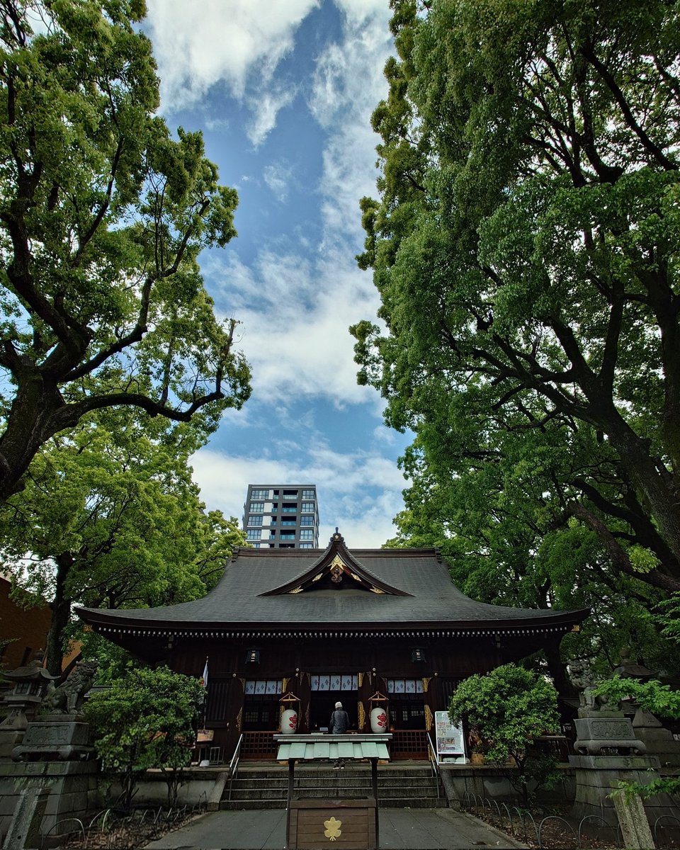 tk_louve's tweet photo. 朝からの雨も止んで、清々しい空気と陽射しの中で若宮さんに月始めのご挨拶

#若宮八幡社
#若宮龍神社
#5月1日
#朔日参り
#朔日限定御朱印
                 https://t.co/4BYka15rJu https://t.co/akRzneR1Vp