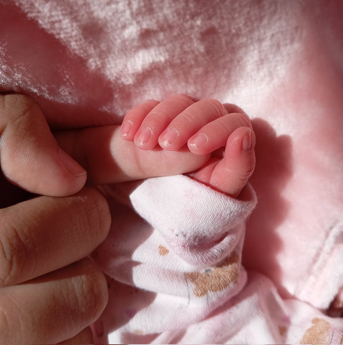 maibla20's tweet photo. Cómo te explico todo lo que sos para mi hija, te deseé tanto, te soñé tantas veces, que no puedo creer que hoy te tengo conmigo, por fin juntitas por y para siempre🫰🏻
Te amo desde el día uno Emma, sos hermosa por dónde te mire mi amor, mi princesa soñadaa😍🩷 https://t.co/Msc9OhxWHM