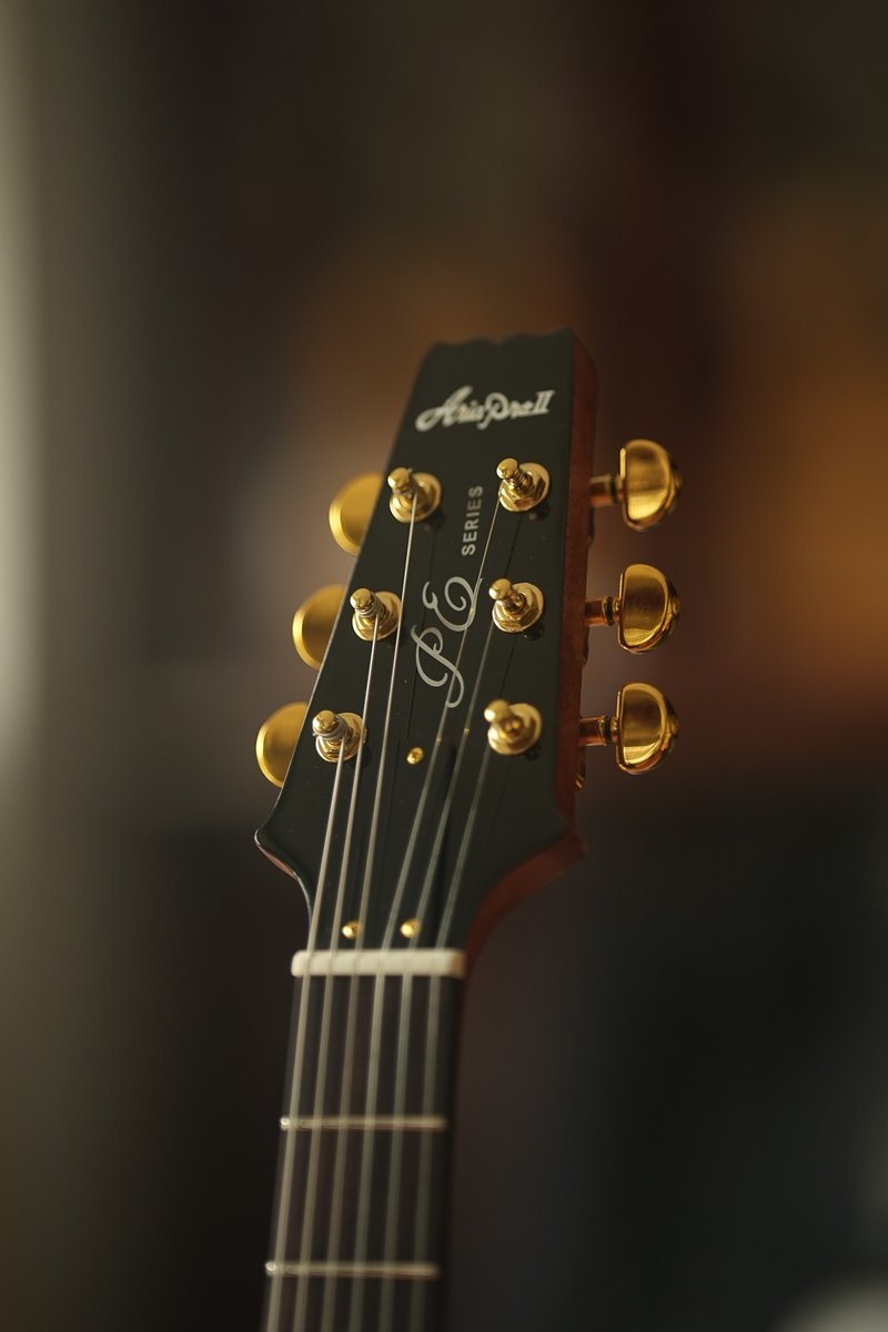 Aria Pro II PE-600MH STBR オールマホガニーのPE。木の質感をより強く