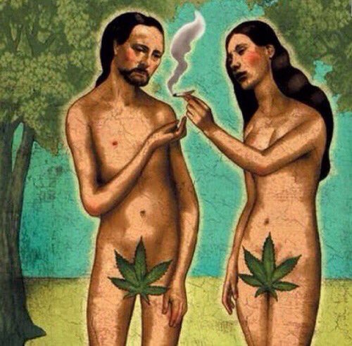 thckero's tweet image. それこそ、今の心身ともに疲弊した日本人にこそ大麻だよ。
大麻ってそう言う医療品であり嗜好品。
ただそれだけ。
全てはエクスペリエンス。
だから私はアルコールを否定しない。

#大麻　
#marijuana 
#cannabis 
#ganja 
#weed