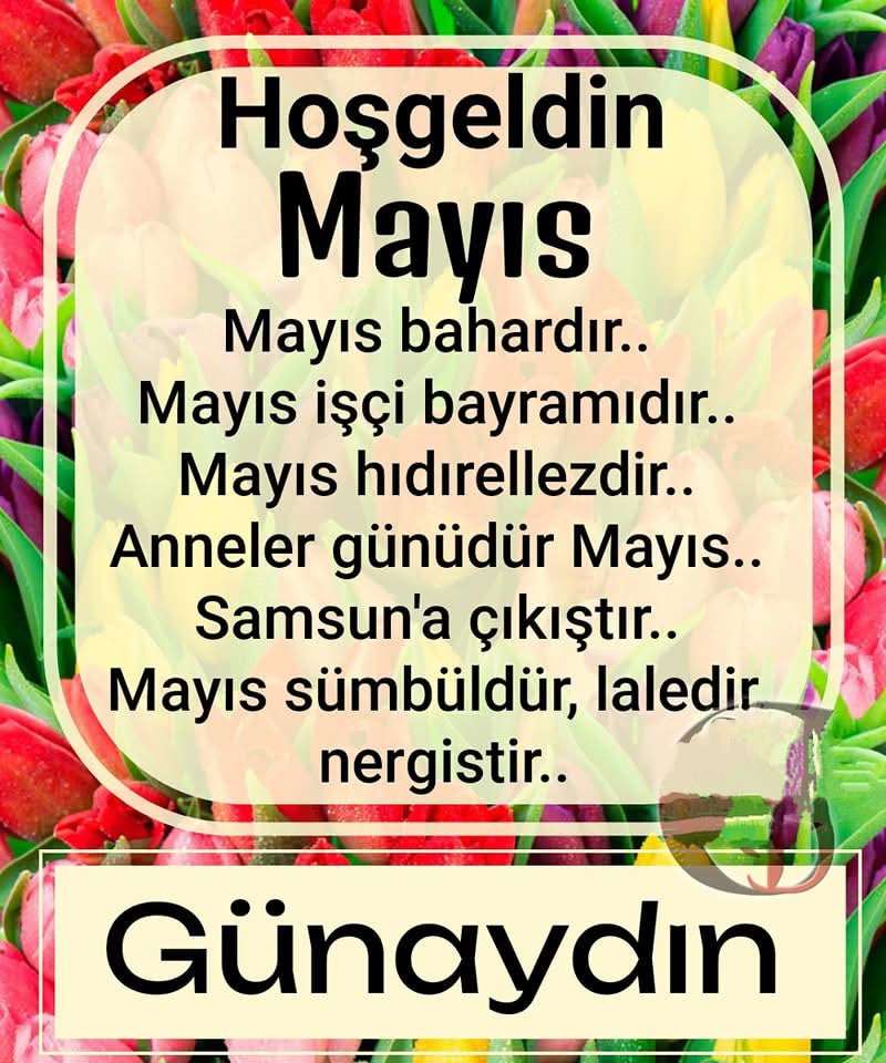TURK495's tweet photo. https://t.co/c4obeCYKmE