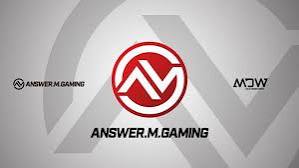 A.M.G_Answer.M.Gaming [公式] tweet media
