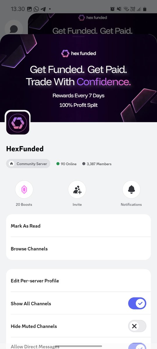 cibbong's tweet photo. @HexFunded All done✅️

@iamainetor @Xtrememantle https://t.co/5fBEL0NgOC