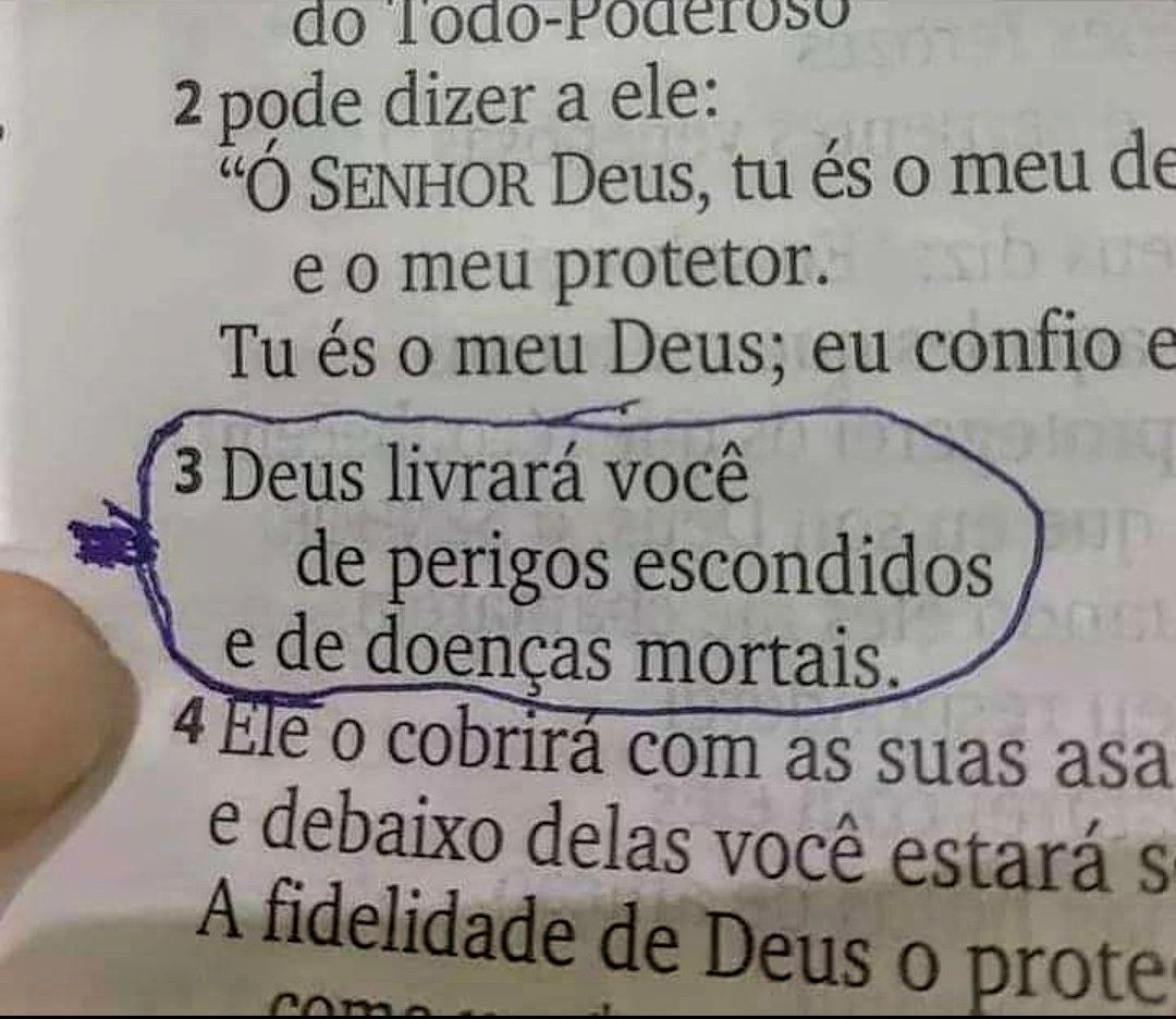 Frases tweet media