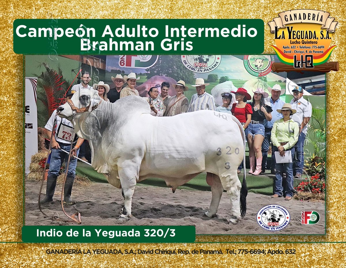 ECOSDELAGRO's tweet photo. Ganadera La Yeguada https://t.co/YyAMwh5W1f