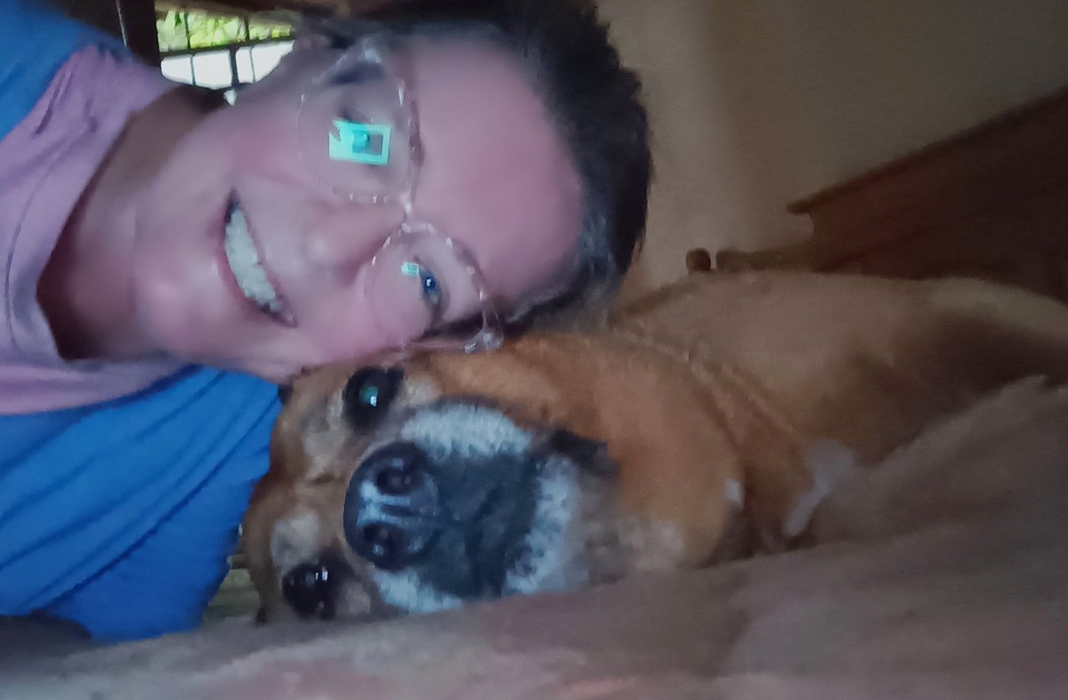 ladydebidebz1's tweet photo. Also, falling asleep on couch & then not being able to go back to sleep after going to bed
I decided to stay on the couch
+ it's near to front door & sliding door so I can react quickly if Mads does crazy-bark mode
#LoveMyCouch
#MustLoveMaddie
#NormalIsASettingOnAWashingMachine https://t.co/sBpkzZAnsH