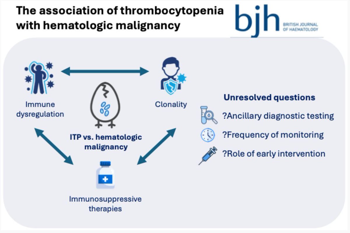 BrJHaem's tweet photo. In a nutshell: The association of thrombocytopenia with haematological malignancy 
https://t.co/fyXco8i4uj https://t.co/eZoCqFrtpV