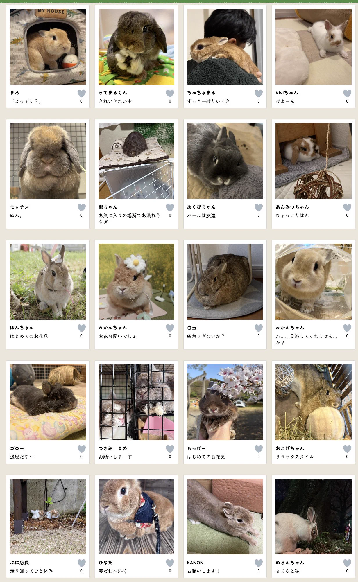 うさぎのしっぽ on X: 