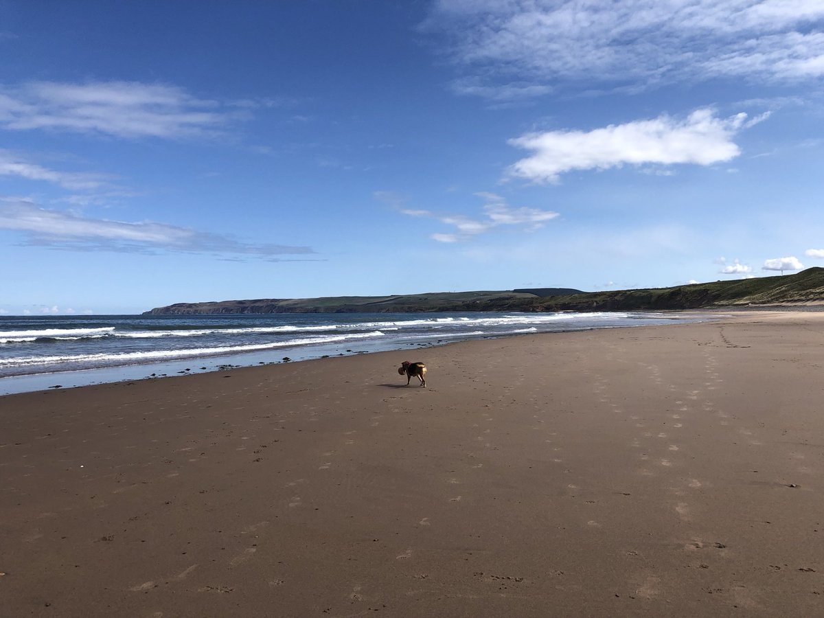 KinlochSusan's tweet image. Beach day #memories with Cara ☀️🏴󠁧󠁢󠁳󠁣󠁴󠁿🐶