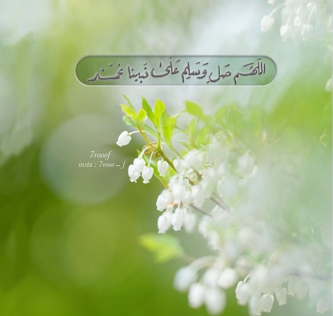 سيف 🇸🇦 tweet media