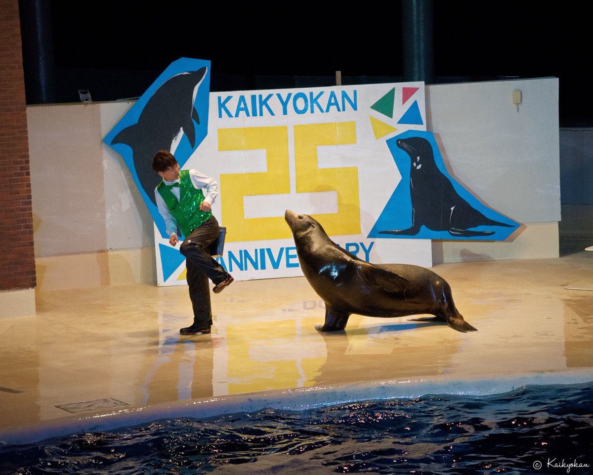 しものせき水族館「海響館」公式 tweet media