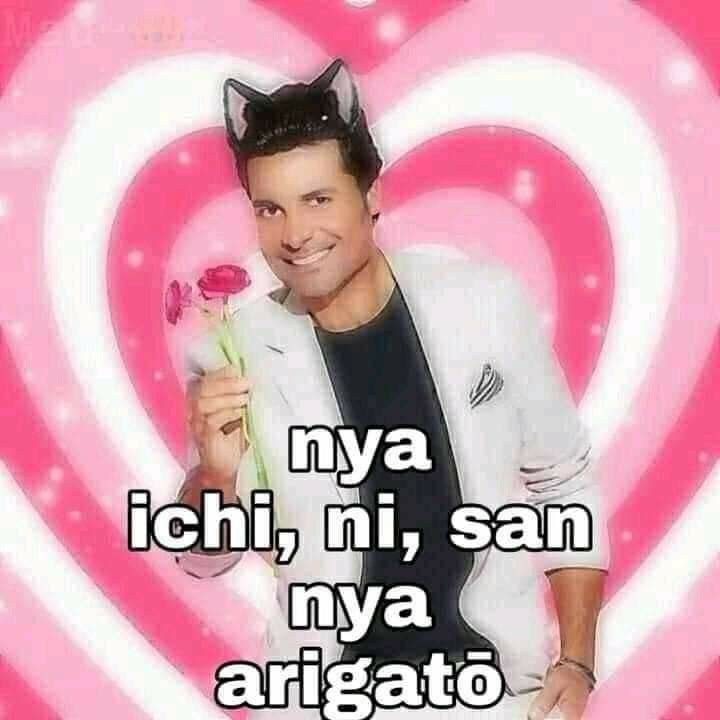 ɪᴀɴ⁰⁴ tweet media