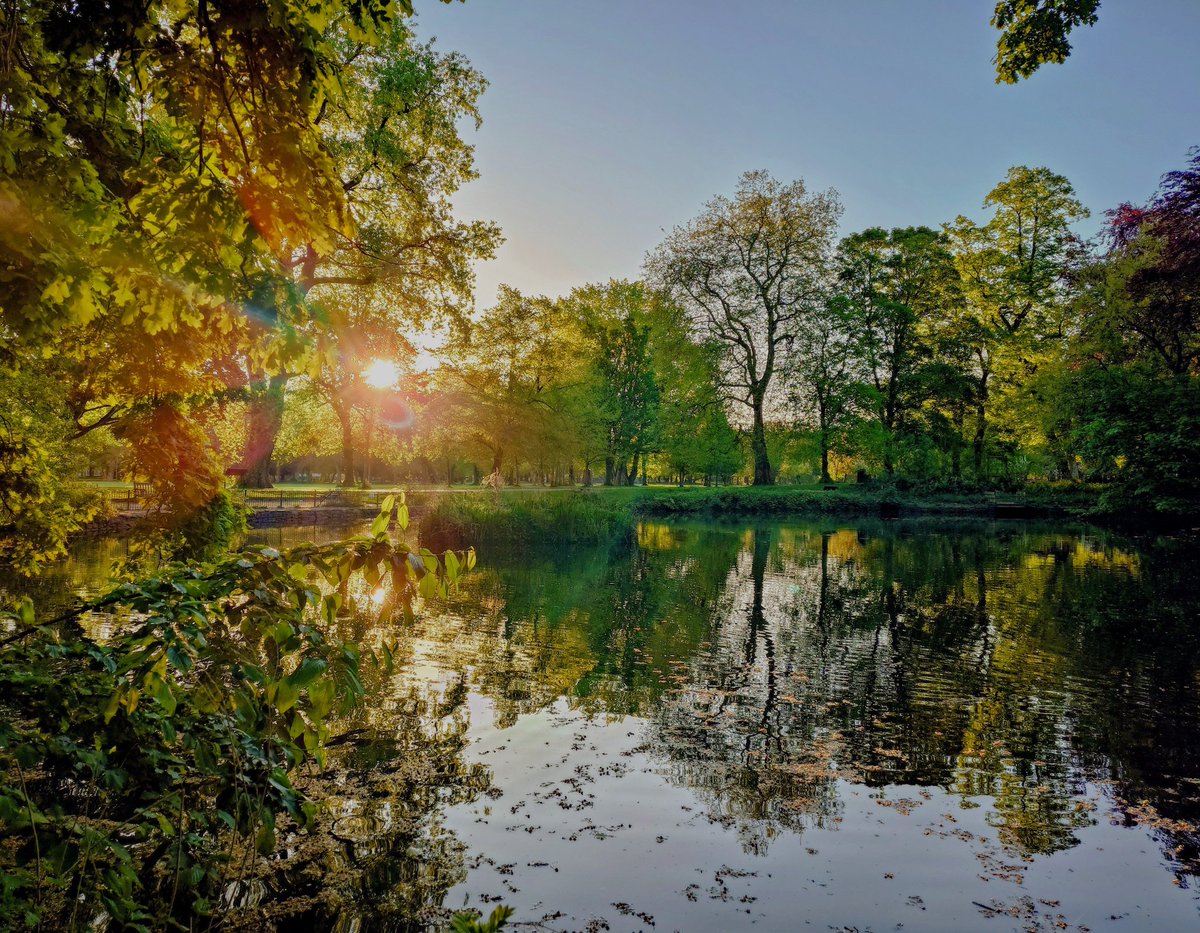 MonicaCrimmins's tweet image. Good morning.  What a beautiful Friday morning 🌄 Alexandra park.  Moss Side #Manchester