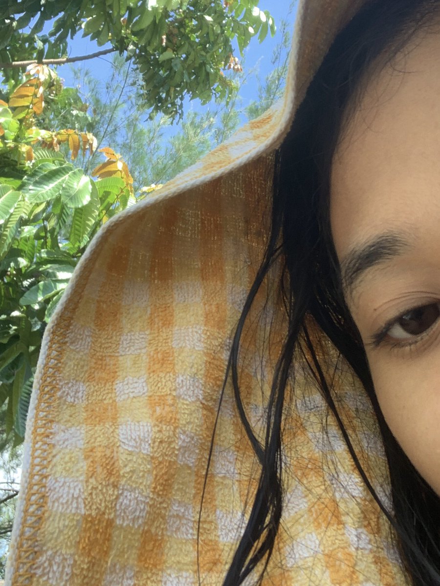 เซลซ่า tweet media