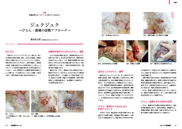 緑書房 (@midorishobo) / Posts / X