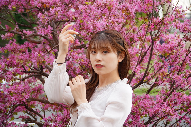 グレートブルー tweet media