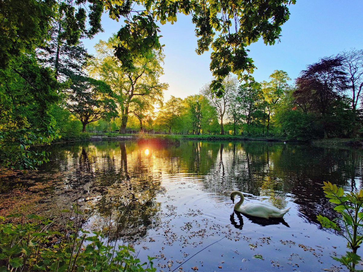 MonicaCrimmins's tweet image. A Friday morning walk in Alexandra Park.  Moss Side #Manchester