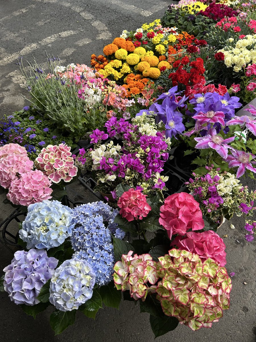 kingfamilyKANTO's tweet image. 【蕨店】

お花が搬入されました🌺
値付け作業後随時お店に出していきますね🎵
お楽しみに〜😊

#キングファミリー　#古着　#蕨　#花