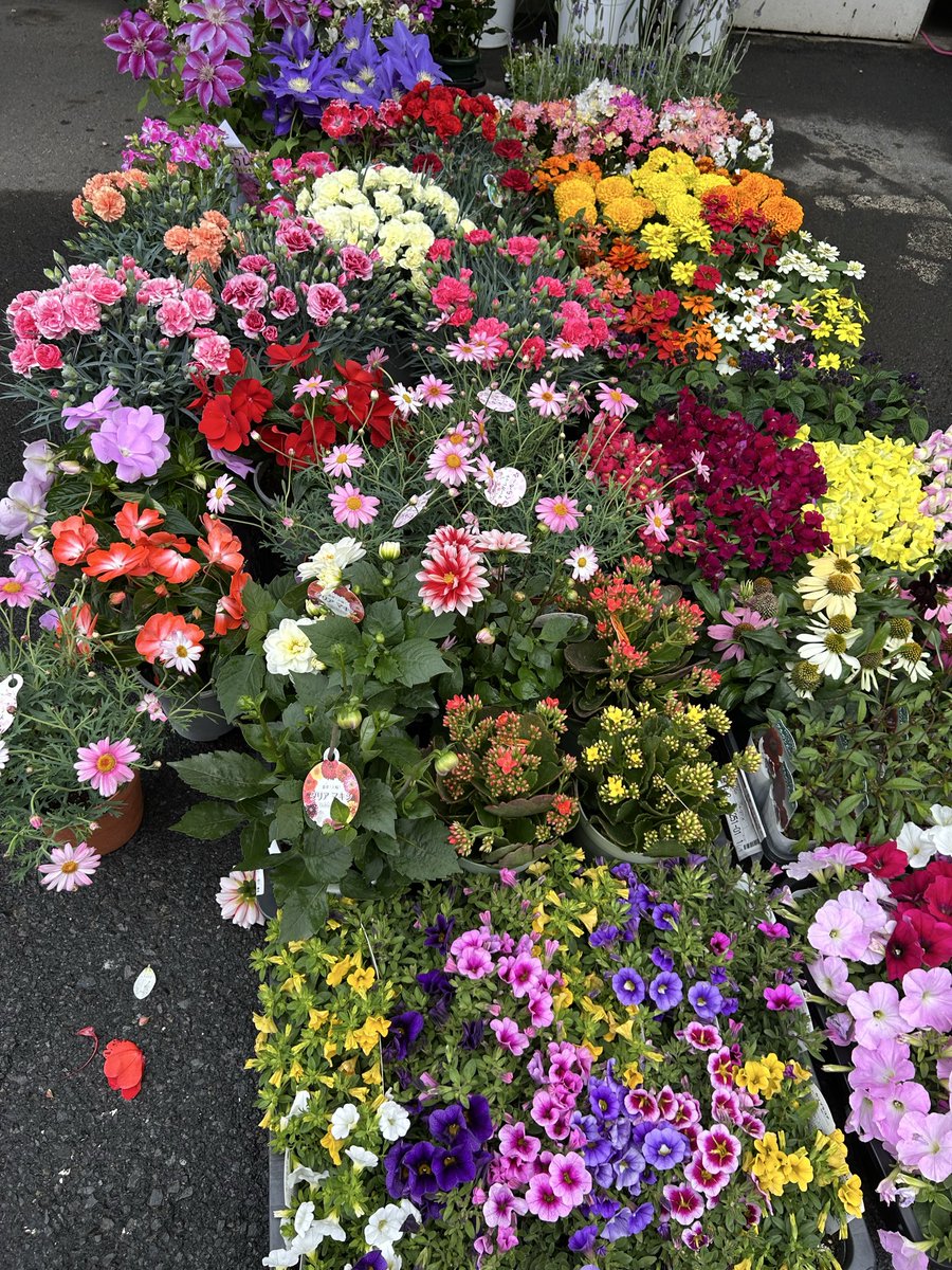 kingfamilyKANTO's tweet image. 【蕨店】

お花が搬入されました🌺
値付け作業後随時お店に出していきますね🎵
お楽しみに〜😊

#キングファミリー　#古着　#蕨　#花