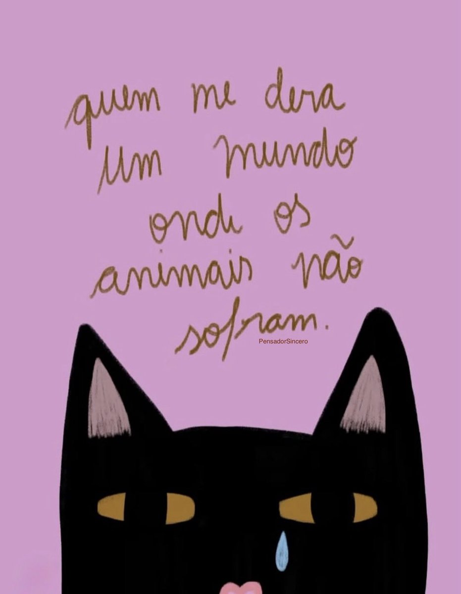 Frases tweet media