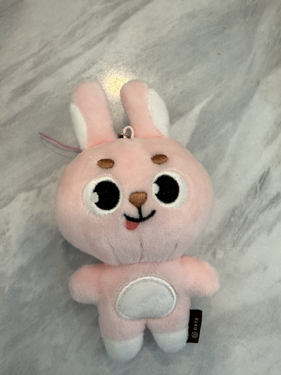 nyang_00's tweet photo. 데니멀즈 필 시크릿 미니 플러시 키링

구해요오오 https://t.co/MBJoLsON2q