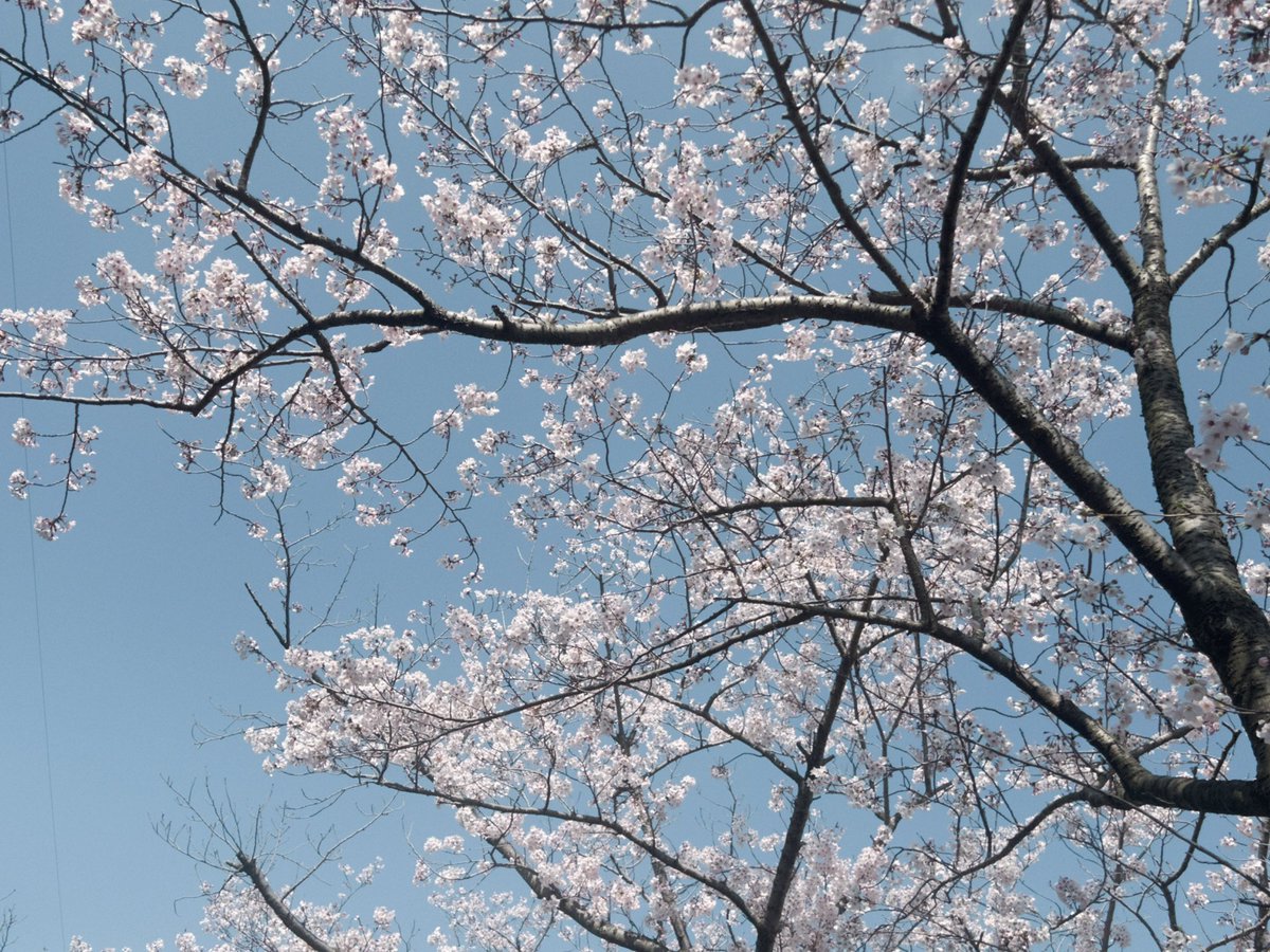 s2qu__'s tweet photo. 4月ありがとう
5月もよろしくね https://t.co/AOjAh1tekA