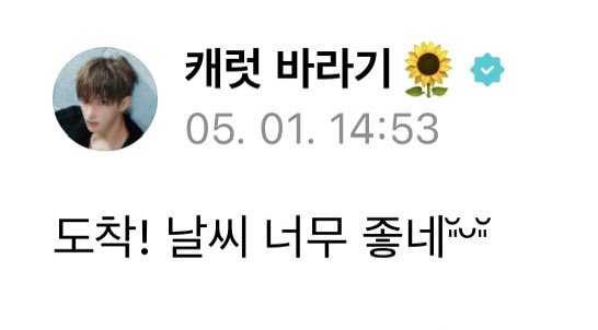 도도 ૮ .• ﻌ • ა 울보1 🐾 tweet media