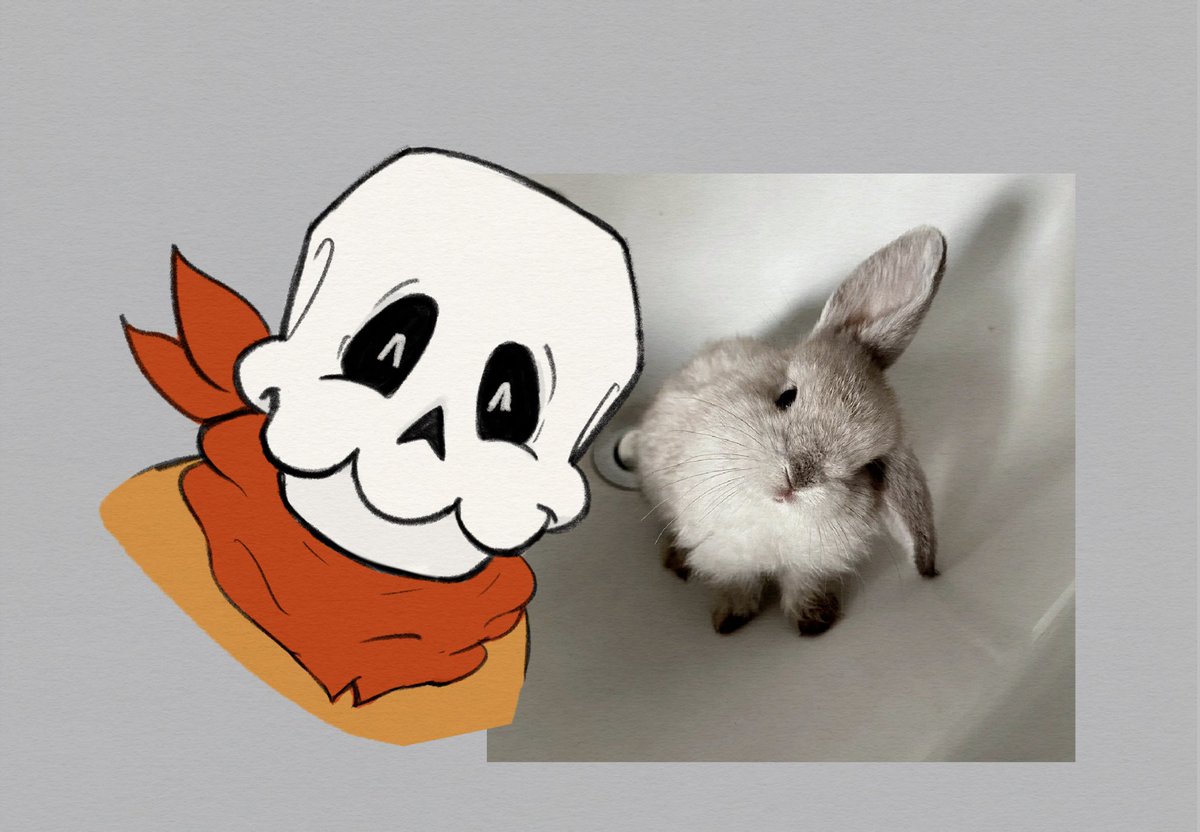 precious lad… only needs one carrot 🥕