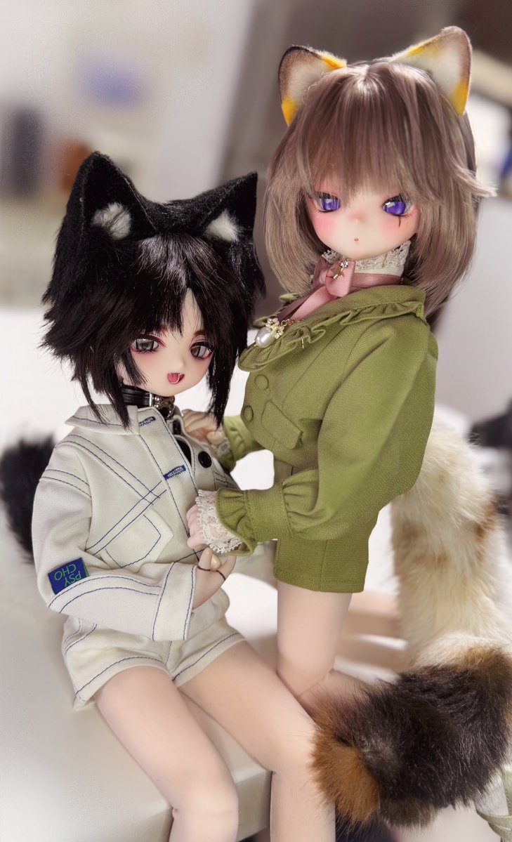 さや🐾いぬ🍬5/6東❸ふ66b tweet media