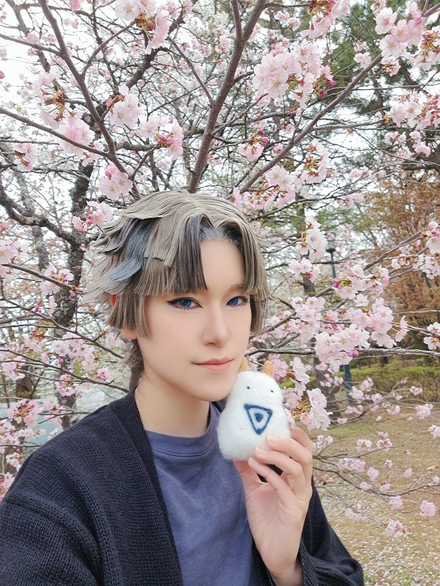 蒼火紫音@返信🐢 tweet media