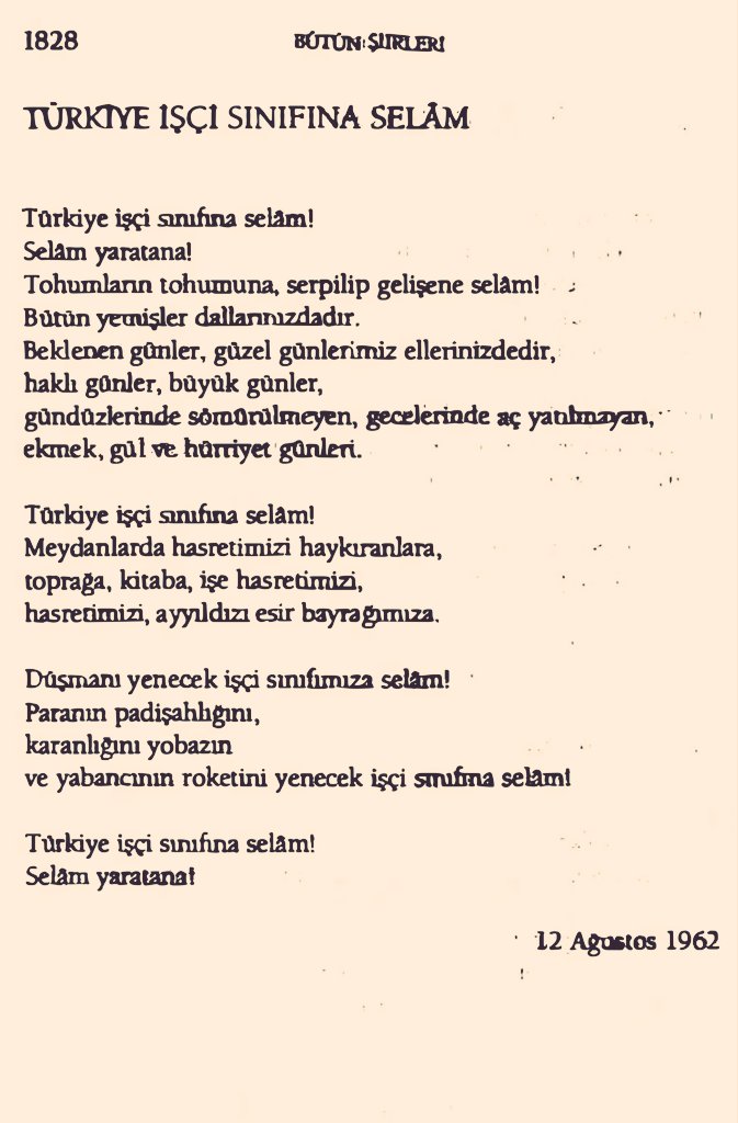 Y.. tweet media