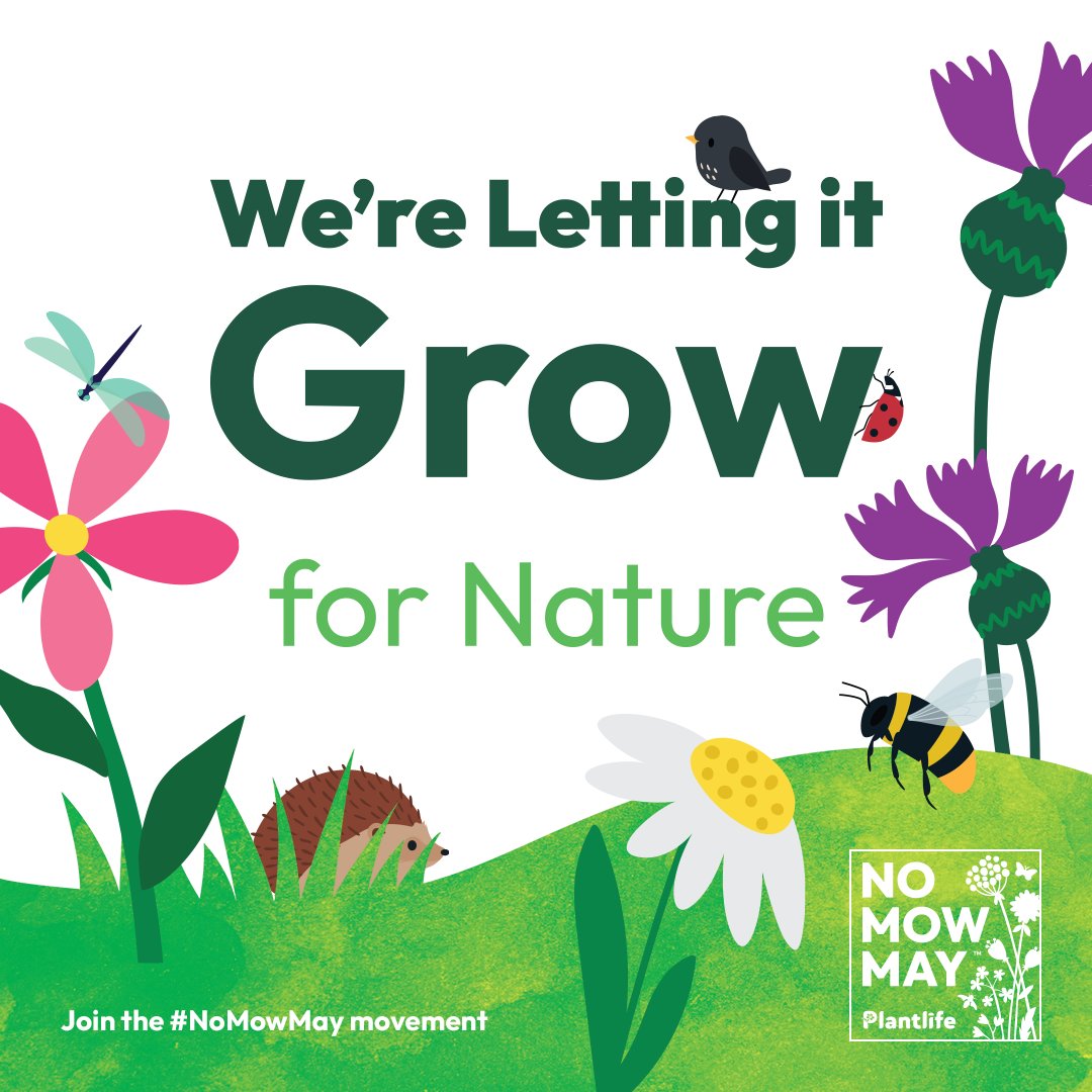 Plantlife tweet media