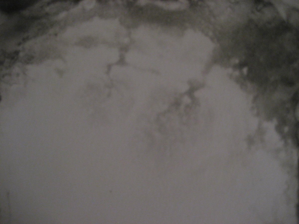 bugonthewa1l's tweet photo. Yummy up close digicam pics of my #monotypes https://t.co/PPGpi9VdnZ