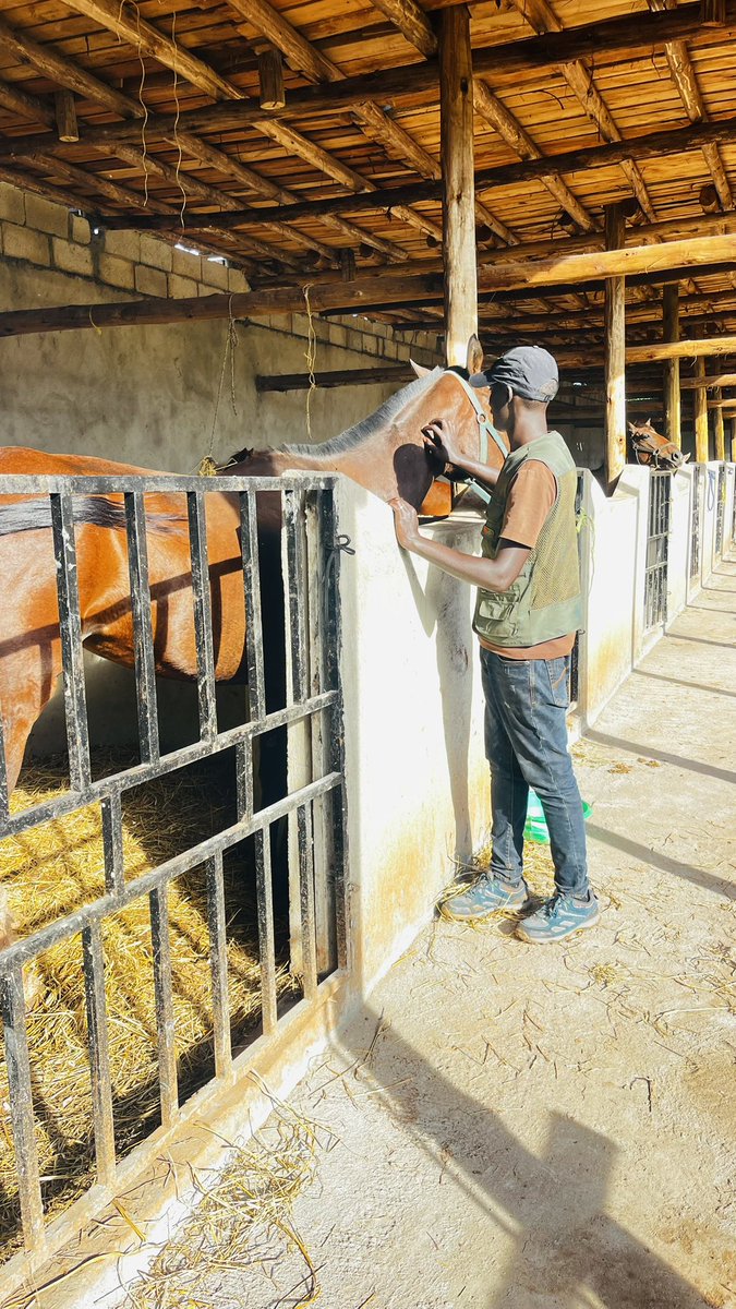 THE COWBOY🐄🤠 tweet media