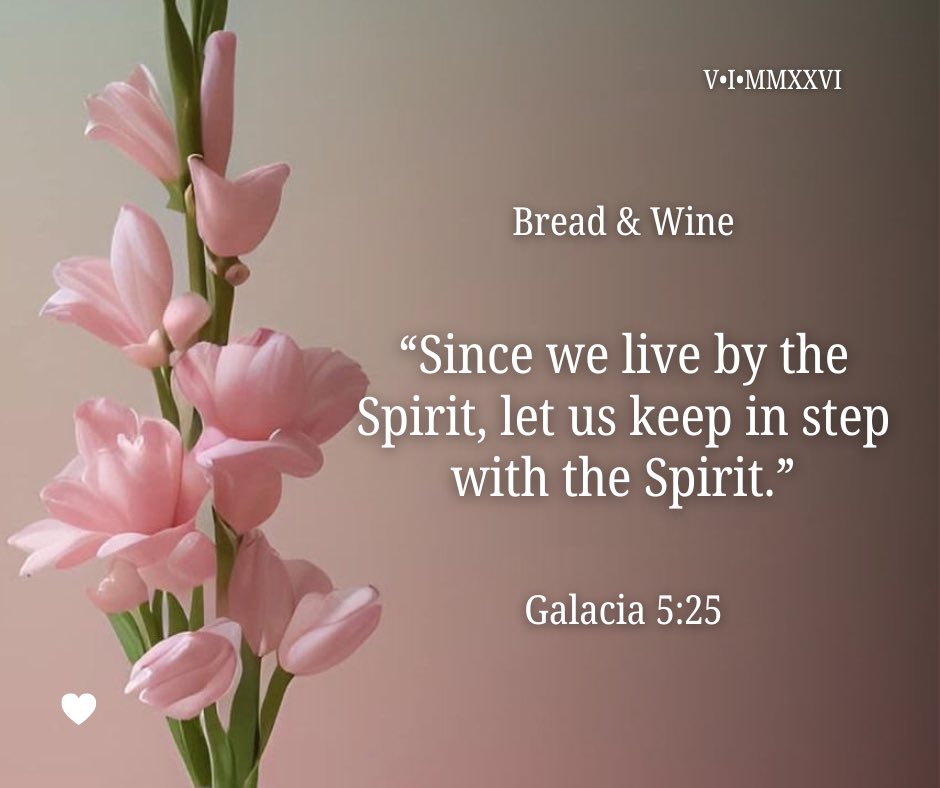 QueenQQ25's tweet image. #TGIF🤗 #Happy_FriDay 🌸
🌤️#BT📖#TWTTTL🙌#BW
youtu.be/JSAPa1VF8nc?si…
Psalm 27:1-14❣️ °LanK°
#Love❤️💙#Peace