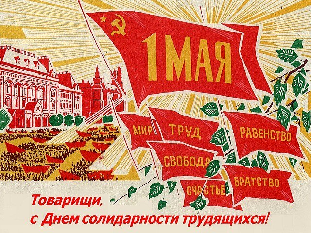 Дремлин 🇷🇺 tweet media