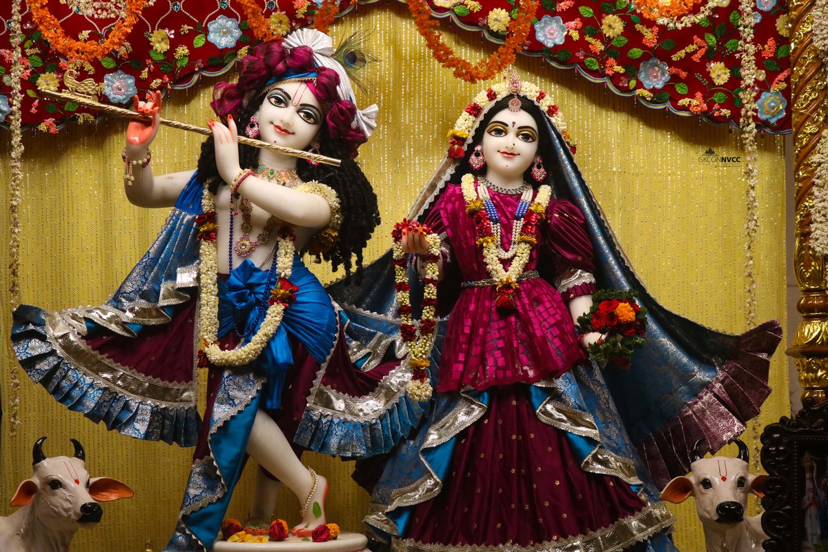 ISKCONPune's tweet image. 🙏🏽𝐓𝐨𝐝𝐚𝐲'𝐬 𝐃𝐚𝐫𝐬𝐡𝐚𝐧 📿 🗓01-05-2026🙏
.
.
#ISKCON #ISKCONNVCC #ISKCONNVCCPune #ISKCONPune
#Chandanyatra #Chandanyatra2026 #Chandan #Yatra

.
whatsapp.com/channel/0029Va…