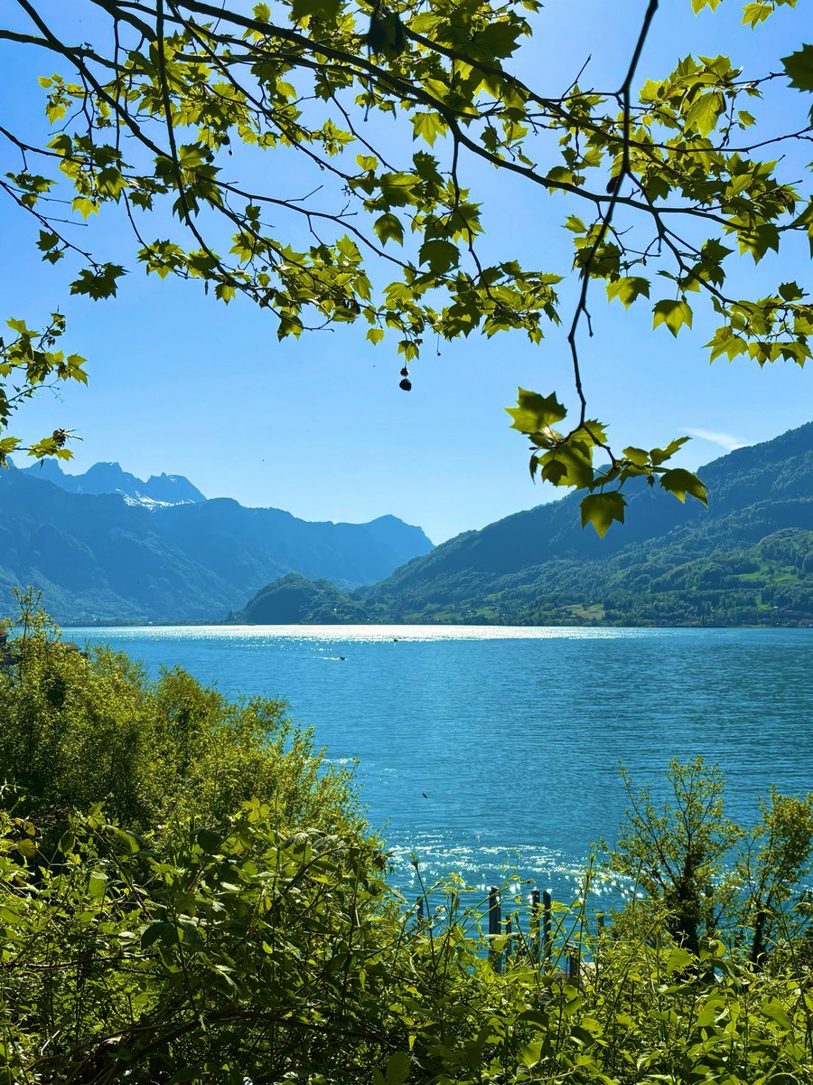 stein5864's tweet image. 🍃☀️🍃 Guten Morgen