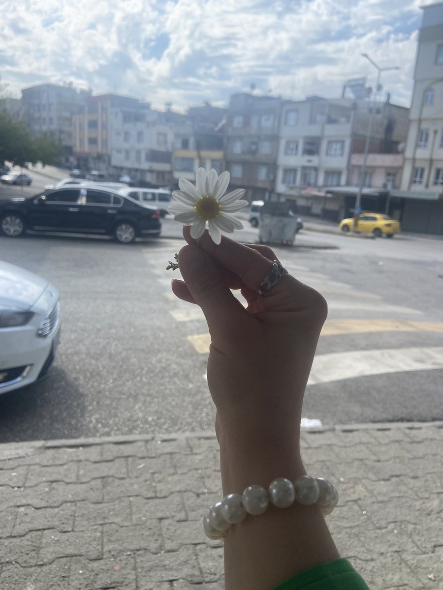 Pınar🦋 tweet media