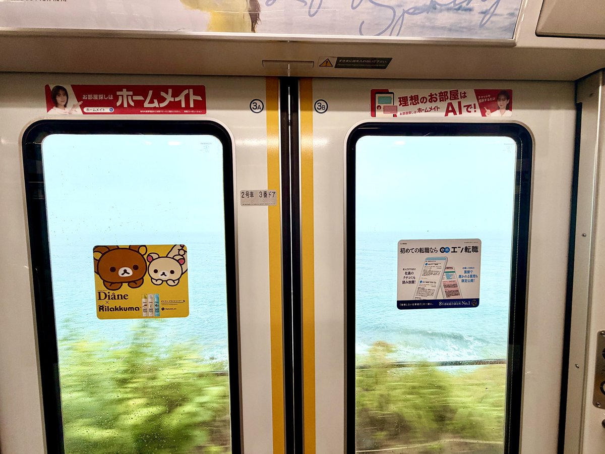 セクシーぼびお®︎ tweet media