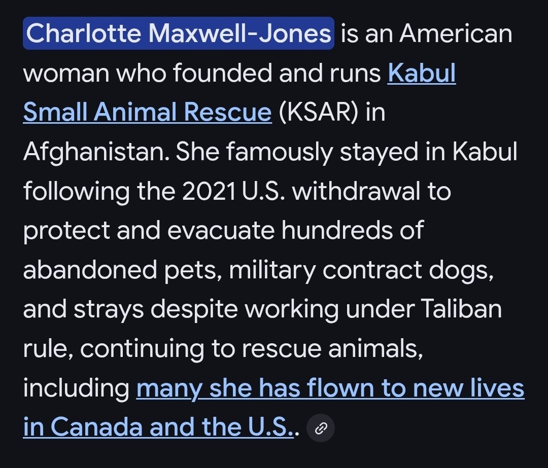 No words. Just relief! Alot of dogs got left behind in kabul.. contractors left their dogs there..  and Islamists kill dogs.. One American woman runs a Rescue there.. She is still there saving the dogs. Charlotte Maxwell -Jones  (Kabul Small Animal Rescue) 
#DogRescue #Doglife