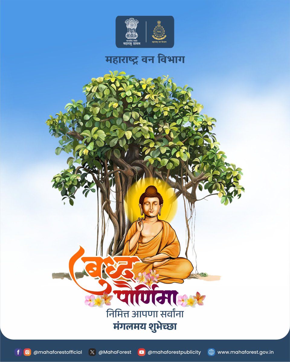 Maha Forest Official tweet media