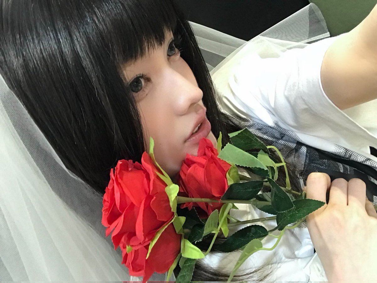 ちび虎イロハ tweet media